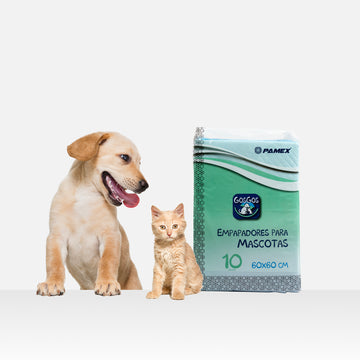 Almohadilla de adiestramiento mascotas / Empapador Desechable para Mascotas / Alta Absorción y Comodidad para Tu Mascota 60X60CM 10und.